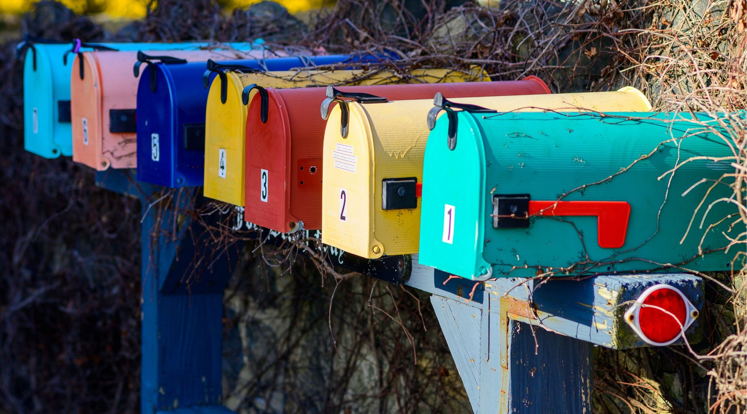 colored mailboxes
